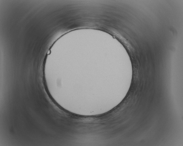 X0000116311479200912291441