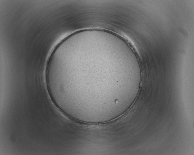 X0000116311480200912291441