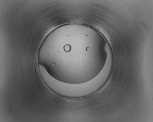 X0000116311481200912291441