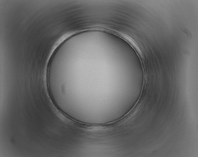 X0000116311482200912291441