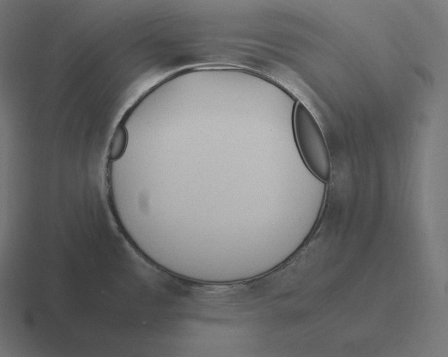 X0000116311485200912291441