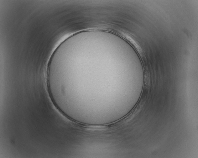 X0000116311487200912291441