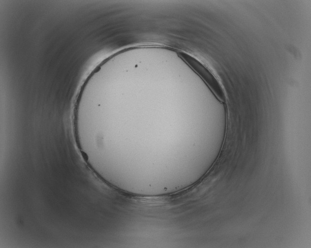 X0000116311488200912291441