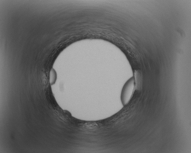 X0000116311491200912291441