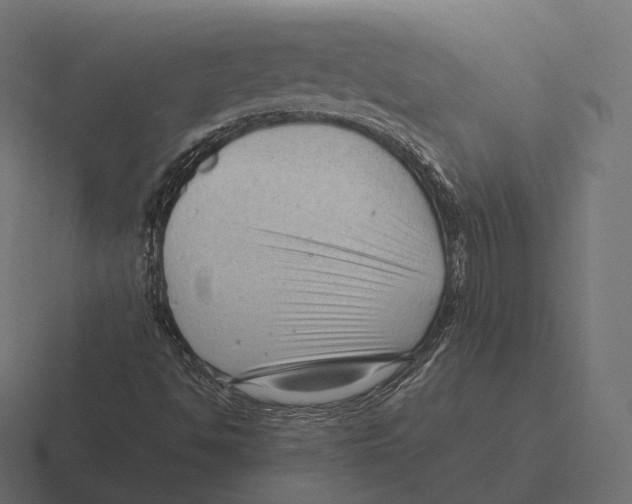 X0000116311494200912291441