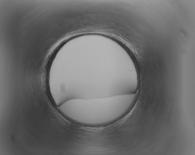 X0000116311502200912291441