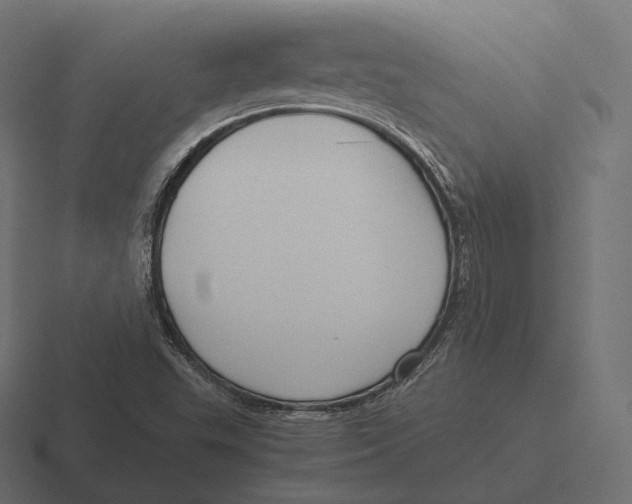 X0000116311503200912291441