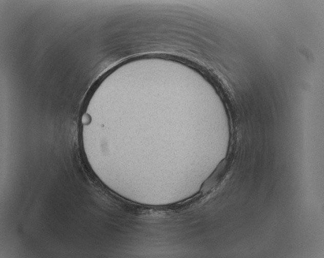 X0000116311505200912291441