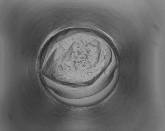 X0000116311506200912291441