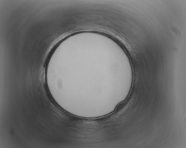 X0000116311509200912291441