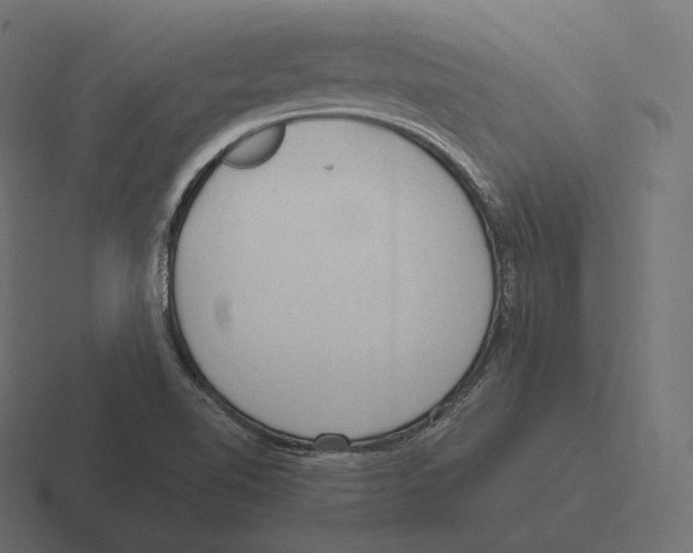 X0000116311510200912291441