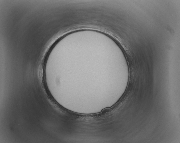 X0000116311511200912291441