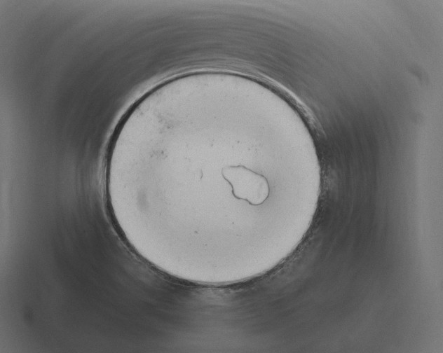 X0000116311514200912291441