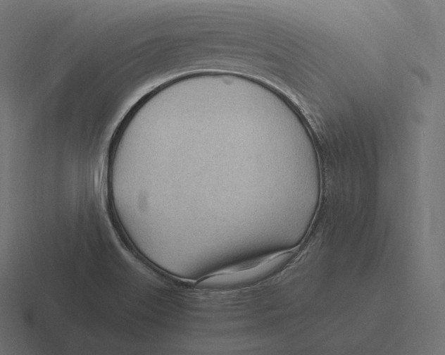 X0000116311515200912291441