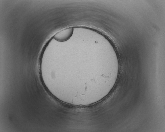 X0000116311517200912291441