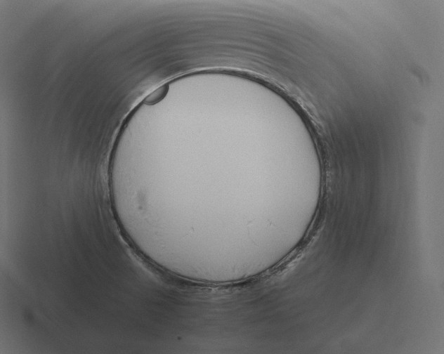 X0000116311521200912291441