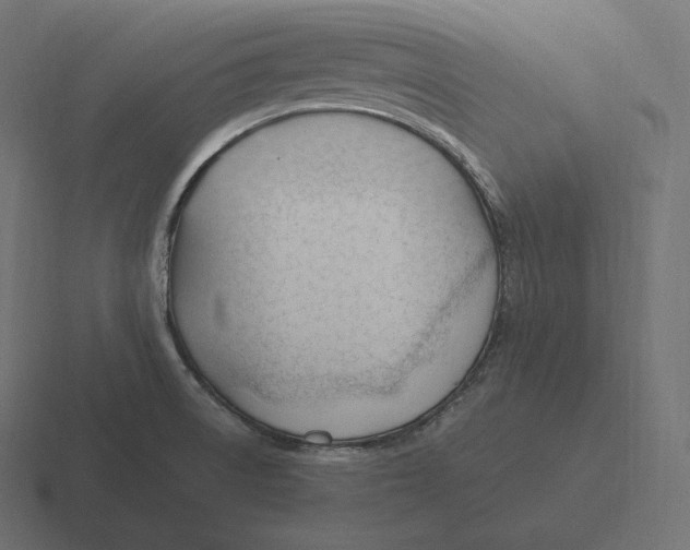 X0000116311522200912291441