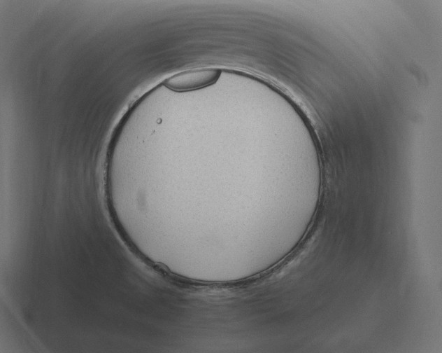 X0000116311525200912291441