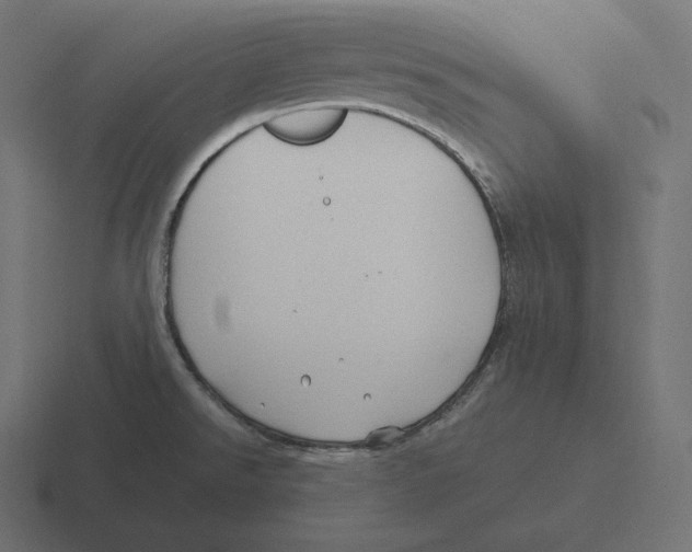 X0000116311526200912291441