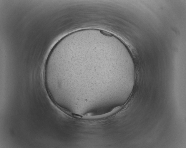 X0000116311527200912291441