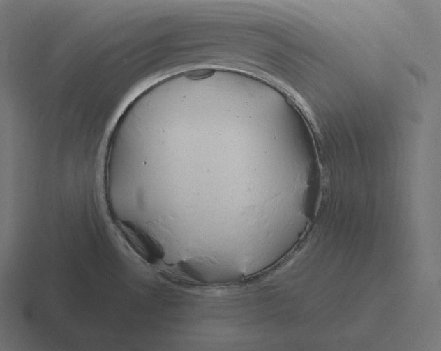 X0000116311530200912291441