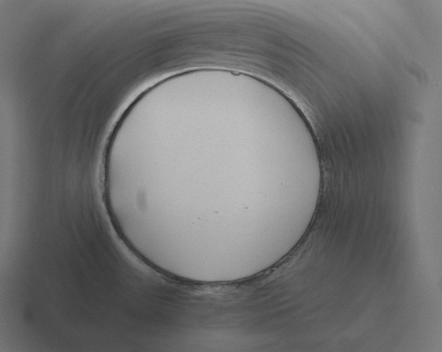 X0000116311531200912291441