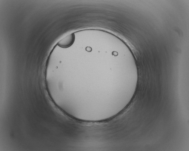 X0000116311534200912291441