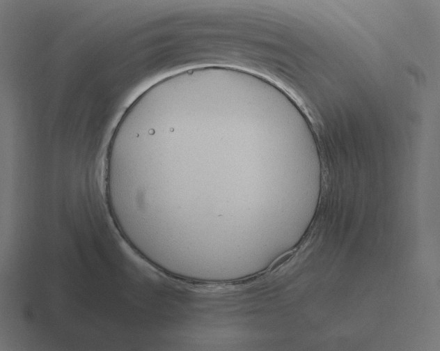 X0000116311535200912291441