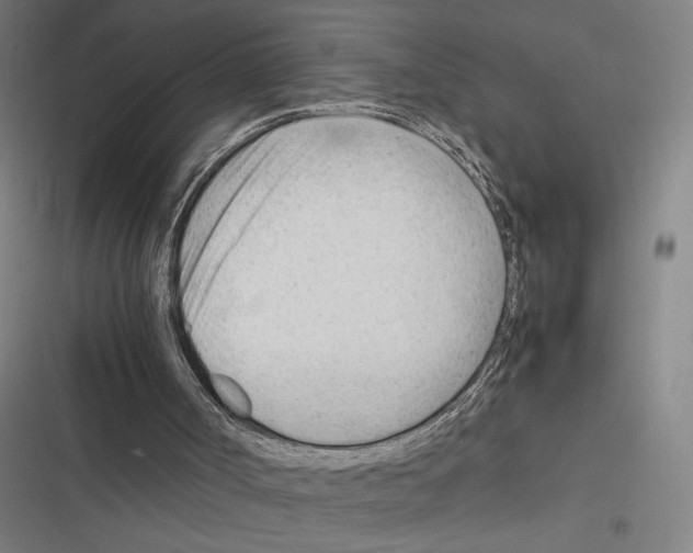 X0000116310002201001111148