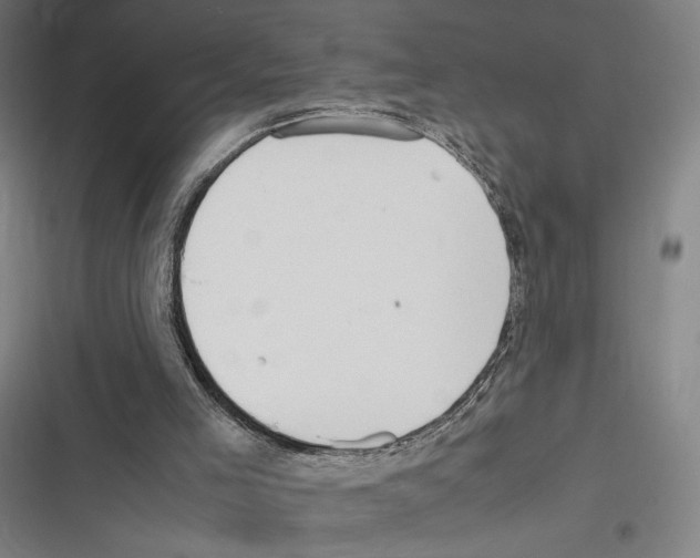 X0000116310005201001111148