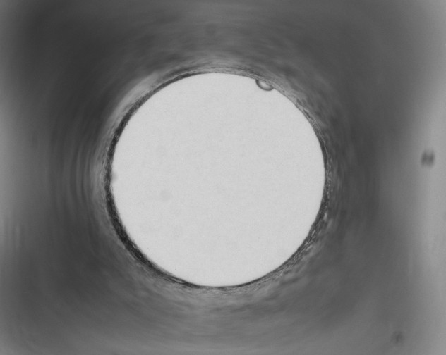 X0000116310007201001111148