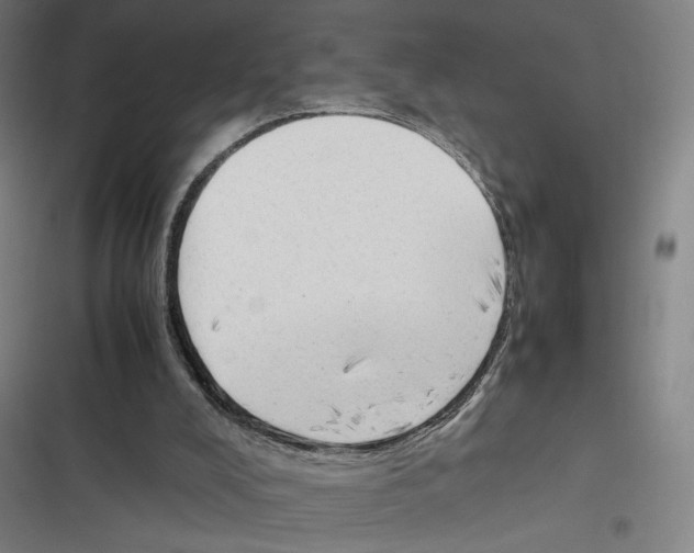 X0000116310008201001111148