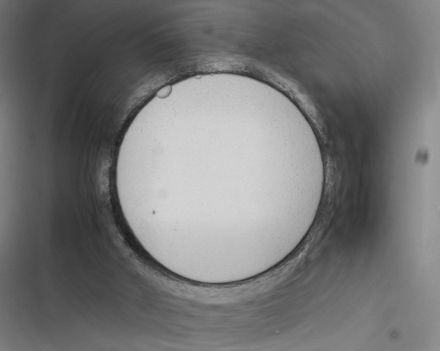 X0000116310010201001111148