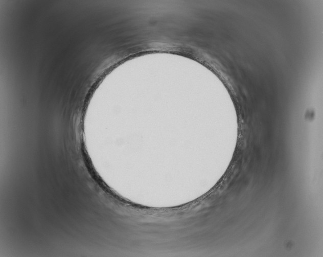 X0000116310011201001111148