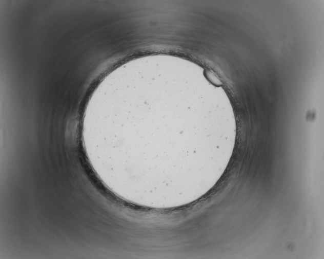 X0000116310016201001111148