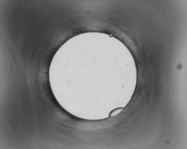 X0000116310017201001111148