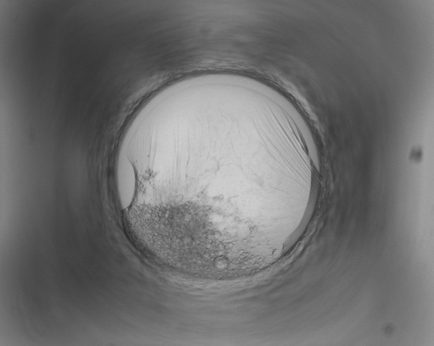 X0000116310019201001111148