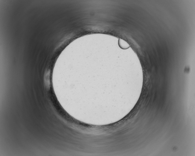 X0000116310020201001111148