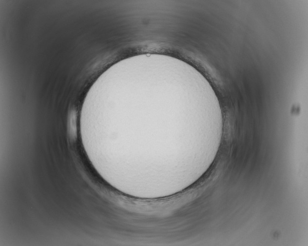 X0000116310022201001111148