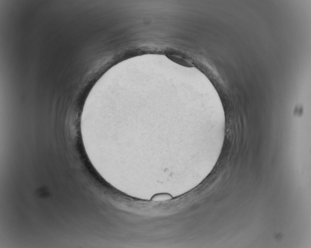 X0000116310023201001111148