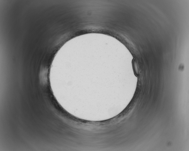 X0000116310024201001111148