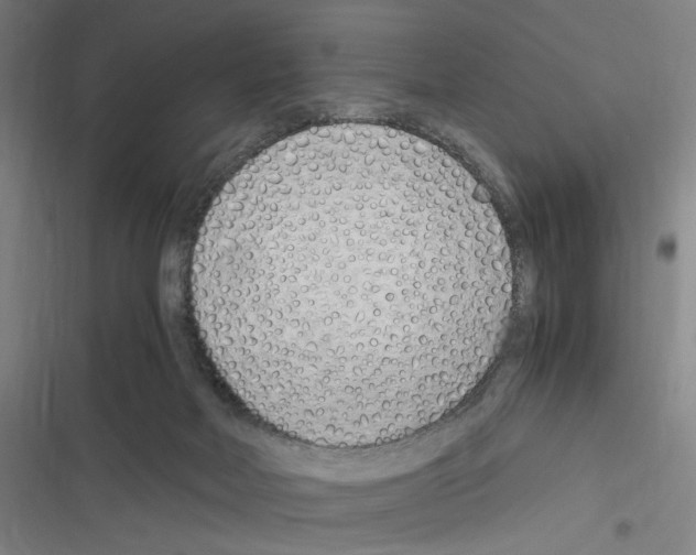 X0000116310026201001111148