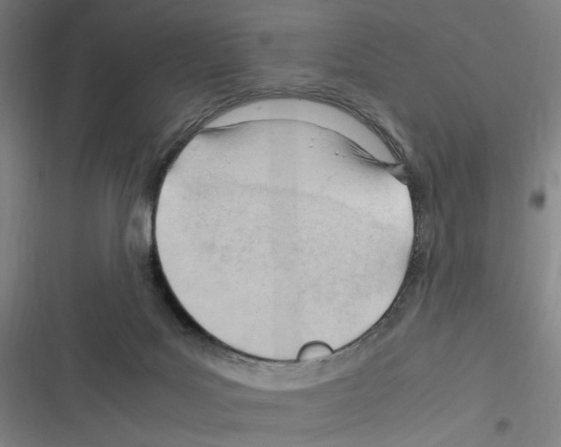 X0000116310027201001111148