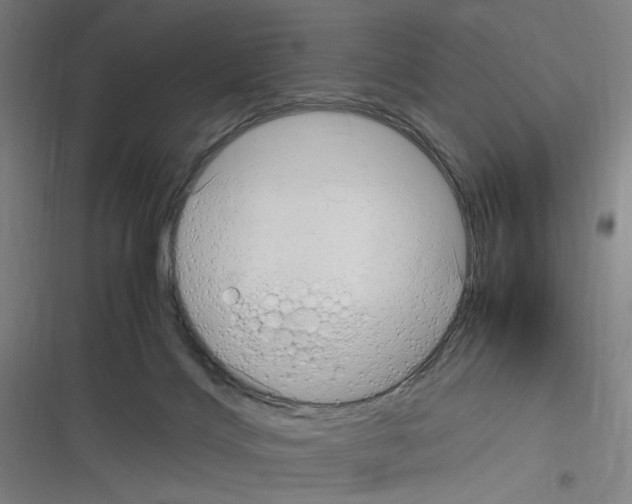 X0000116310028201001111148