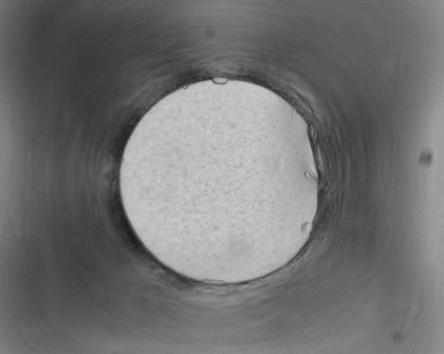 X0000116310029201001111148