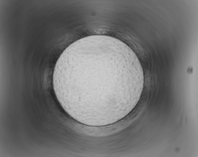 X0000116310030201001111148