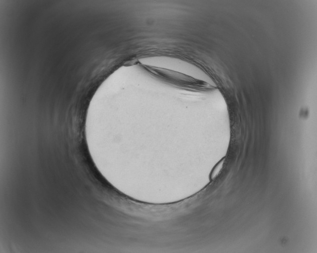 X0000116310031201001111147