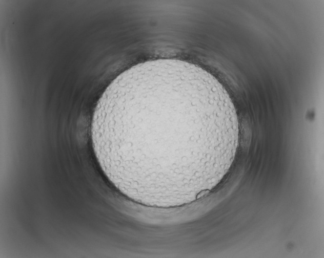 X0000116310034201001111147