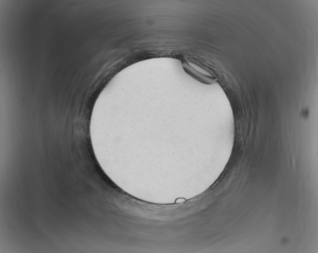 X0000116310035201001111147