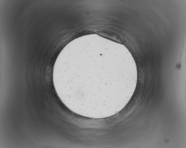 X0000116310036201001111147